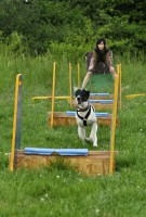 /album/flyball/dsc0040-orez-jpg/